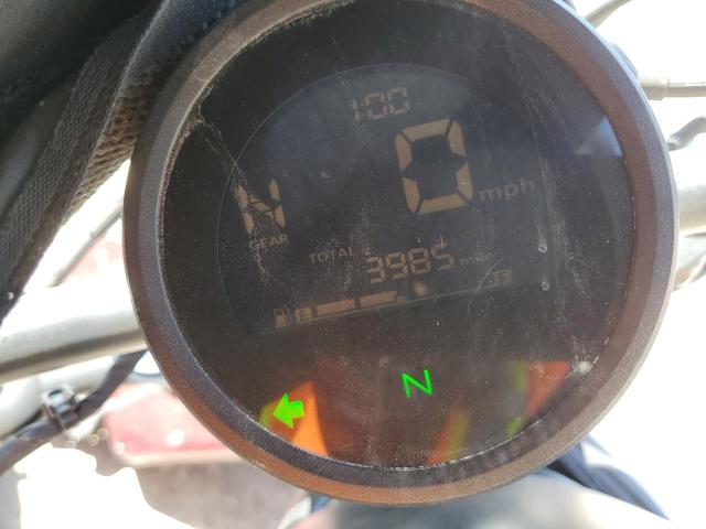 2021 HONDA CMX300 - MLHNC5303M5400047