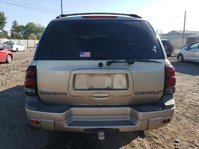 2004 Chevrolet Trailblazer Ls VIN: 1GNDT13S242389091 Lot: 52670124