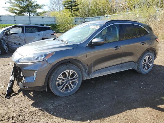 2022 Ford Escape Sel VIN: 1FMCU9H60NUA31954 Lot: 52104764