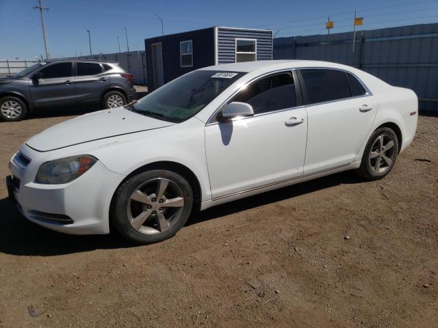 2011 Chevrolet Malibu 1Lt VIN: 1G1ZC5EU8BF191442 Lot: 50618634