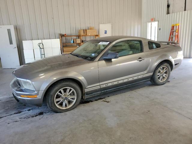 Lot #2443119097 2005 FORD MUSTANG salvage car