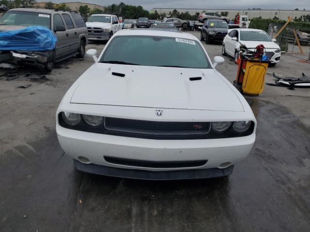 2010 Dodge Challenger R/T VIN: 2B3CJ5DT9AH324168 Lot: 51663854