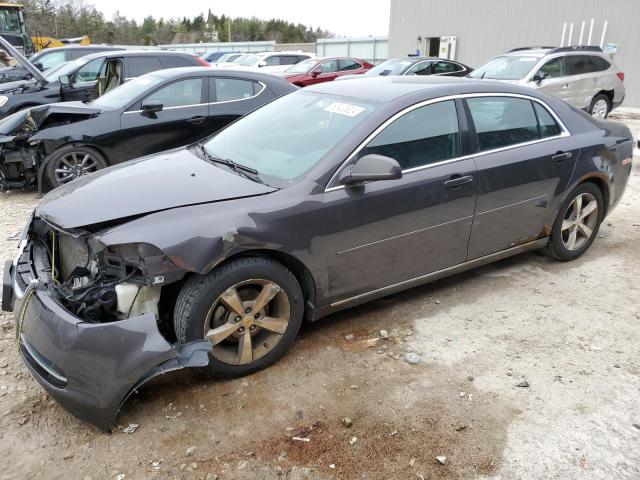 Lot #2469112041 2011 CHEVROLET MALIBU 1LT salvage car