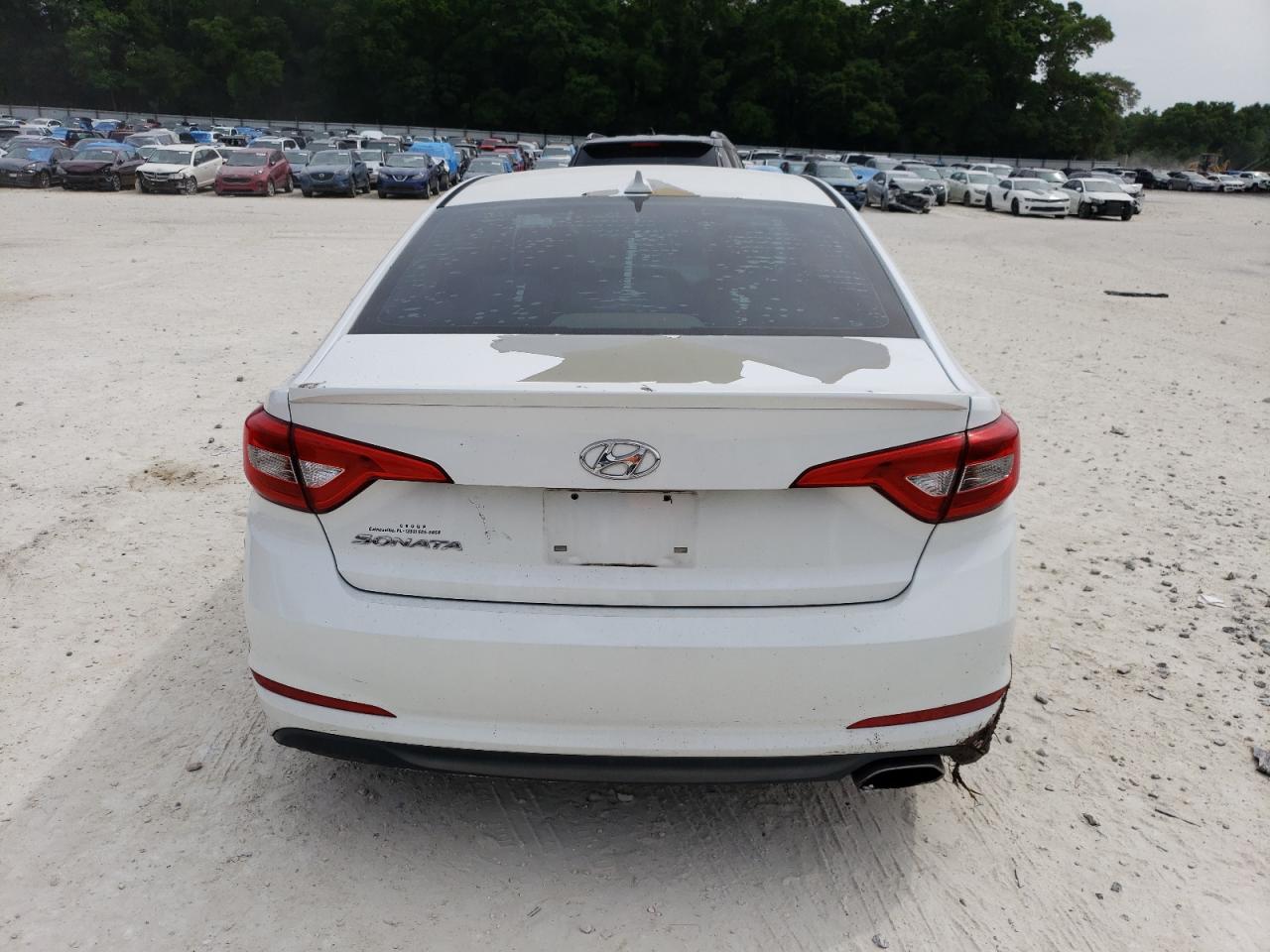 5NPE24AFXFH212605 2015 Hyundai Sonata Se