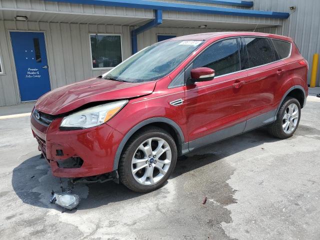 2013 Ford Escape Sel VIN: 1FMCU0HXXDUC47779 Lot: 49611874