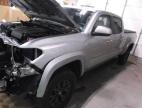 2023 TOYOTA TACOMA DOU - 3TYDZ5BN4PT023662