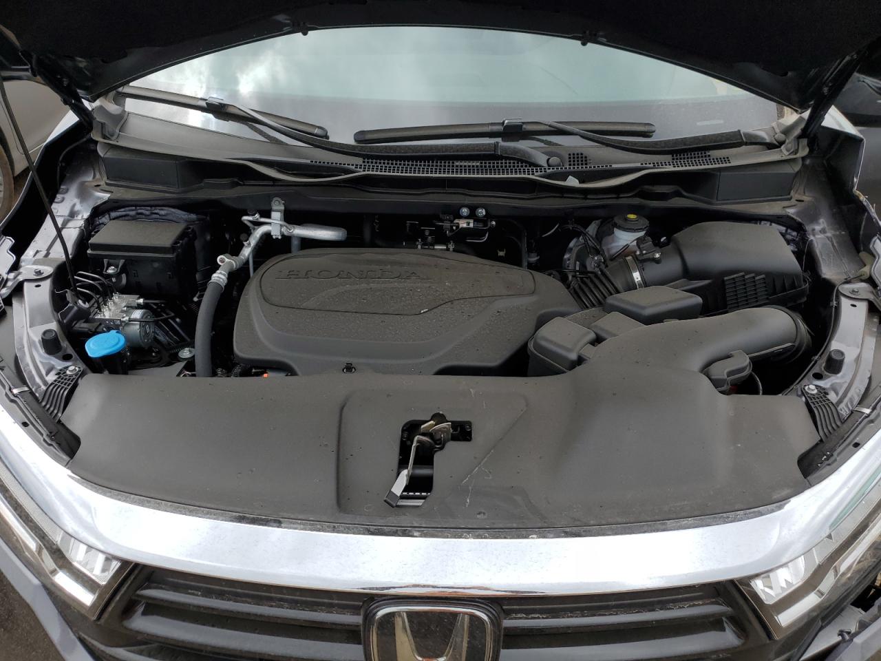 5FNRL6H64RB036072 2024 Honda Odyssey Exl