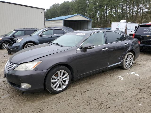 2010 LEXUS ES 350 2010