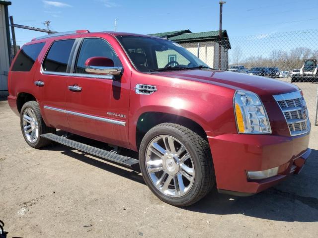 2010 Cadillac Escalade Platinum VIN: 1GYUKDEF2AR186339 Lot: 48918094