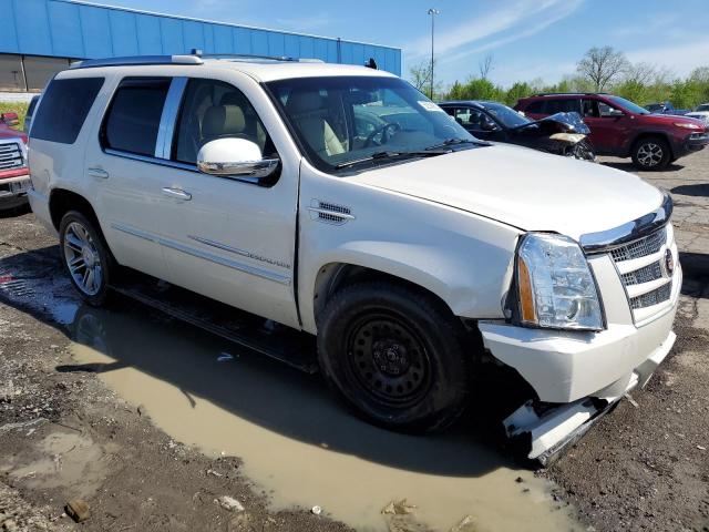 2013 Cadillac Escalade Premium VIN: 1GYS4CEF7DR373866 Lot: 52556804