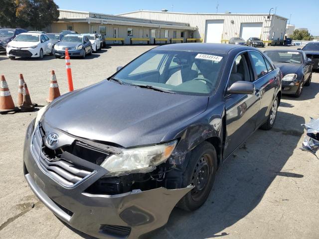 Lot #2533584027 2010 TOYOTA CAMRY BASE salvage car
