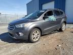 2017 FORD ESCAPE SE - 1FMCU9GD1HUD62014