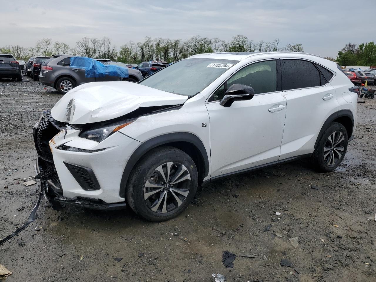 JTJSARDZ7M5023414 2021 Lexus Nx 300 Base