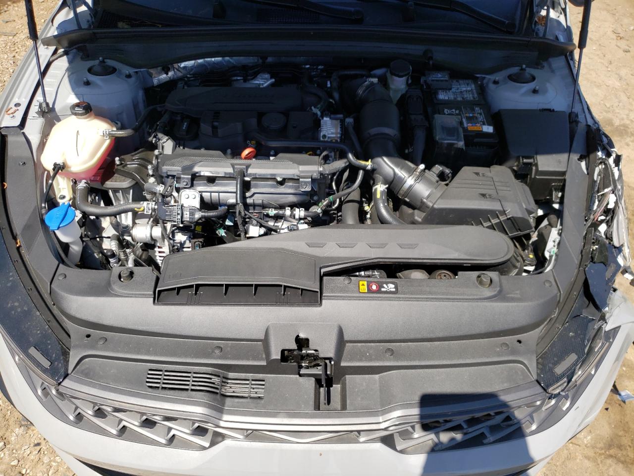 5XXG64J21RG264554 2024 Kia K5 Gt Line