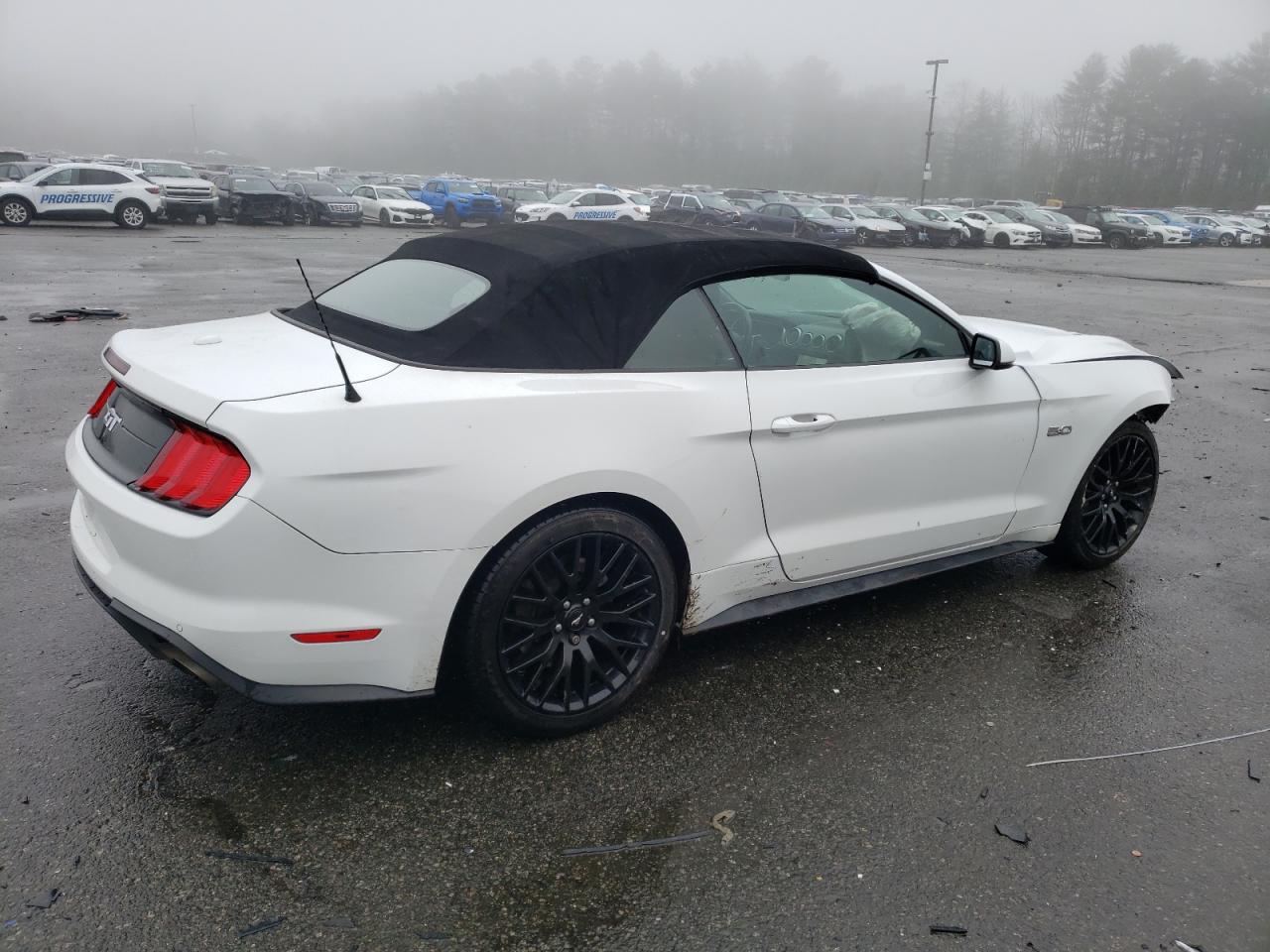 2019 Ford Mustang Gt vin: 1FATP8FF2K5128920