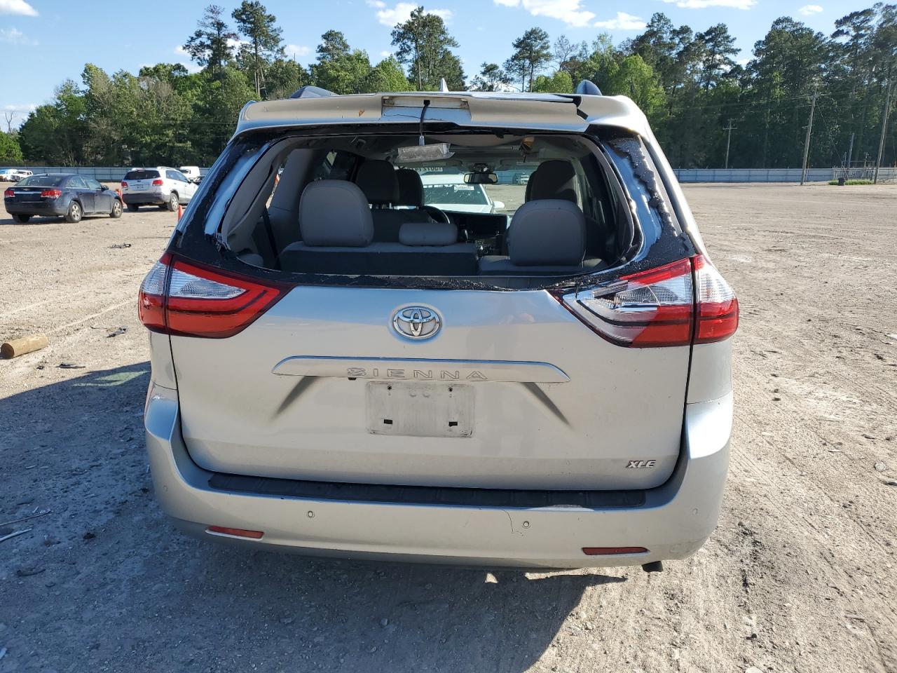 2019 Toyota Sienna Xle vin: 5TDYZ3DC2KS981401