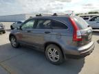 HONDA CR-V EX photo