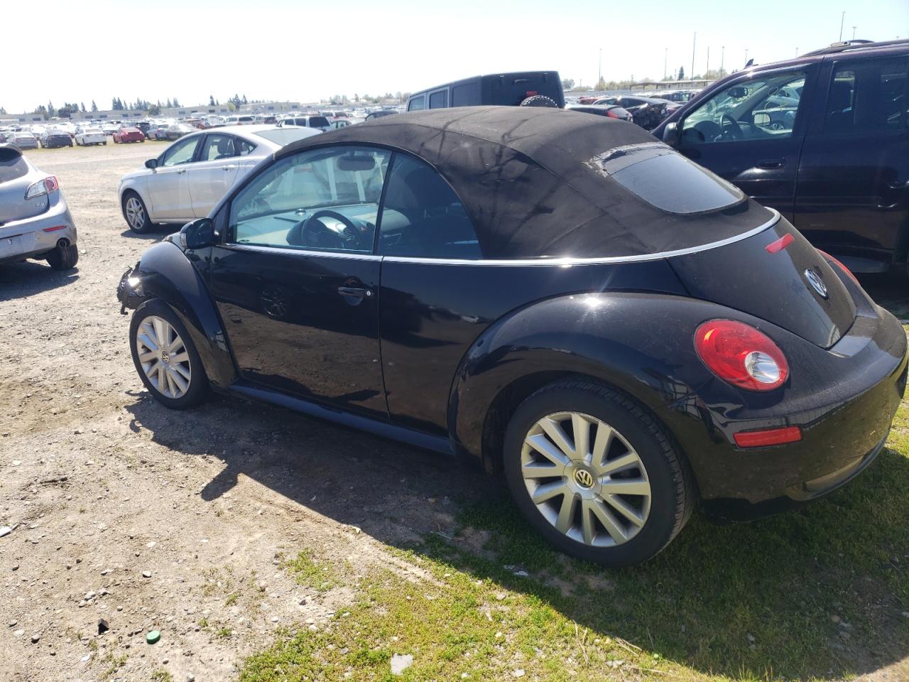 3VWRG31Y88M407207 2008 Volkswagen New Beetle Convertible Se