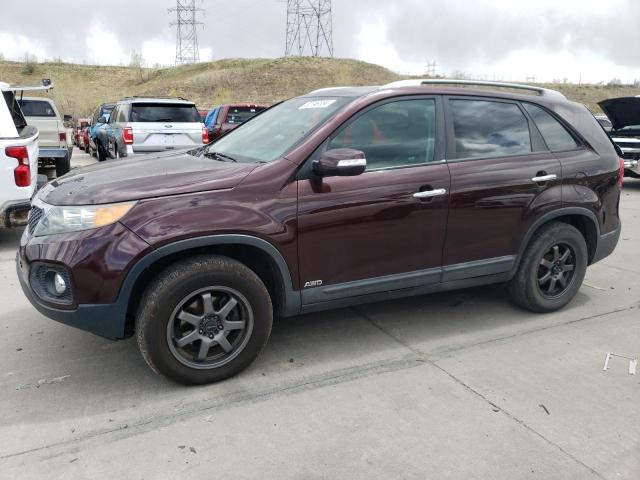 2011 Kia Sorento Base VIN: 5XYKTDA17BG055010 Lot: 52746534