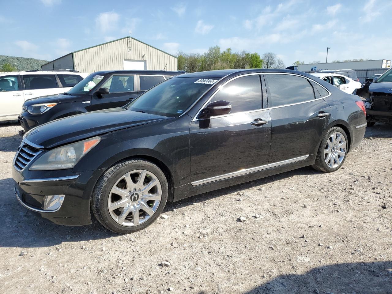 KMHGH4JF5BU036291 2011 Hyundai Equus Signature