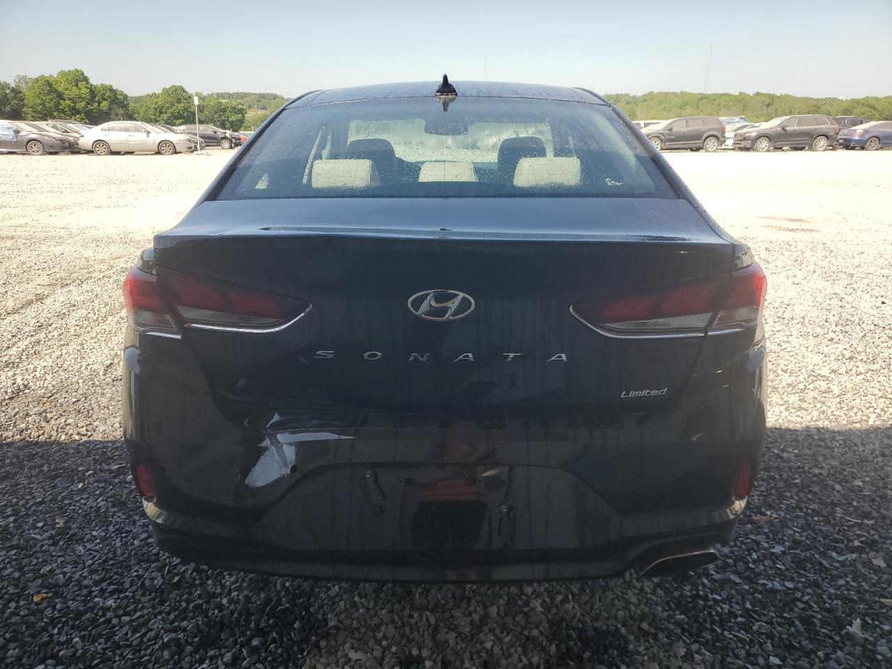 5NPE34AF1KH750245 2019 Hyundai Sonata Limited