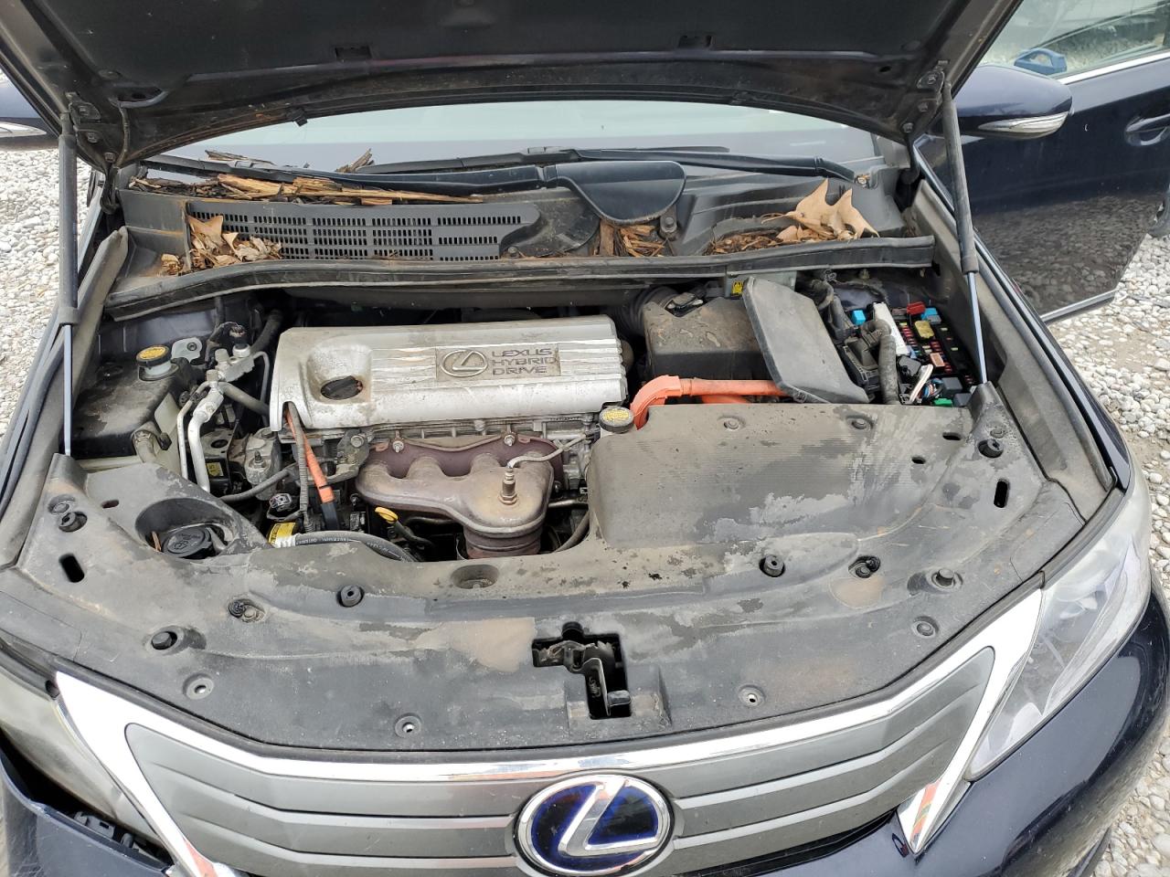 JTHBB1BA2A2015649 2010 Lexus Hs 250H