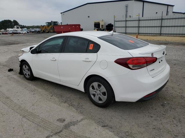 2017 Kia Forte Lx VIN: 3KPFK4A77HE073568 Lot: 49772464