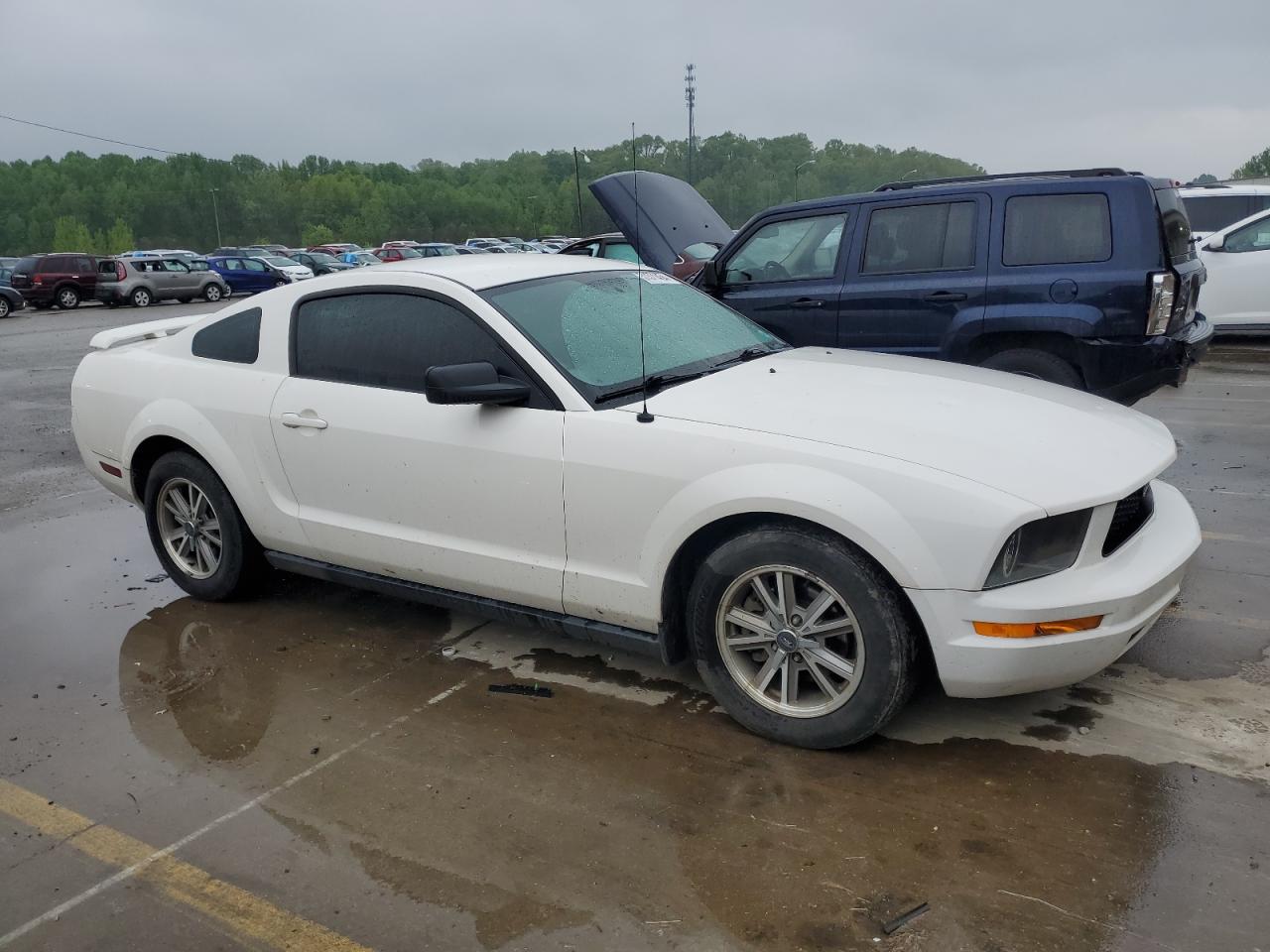 1ZVFT80NX55149034 2005 Ford Mustang