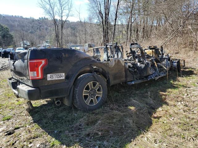 2016 Ford F150 Supercrew VIN: 1FTFW1EF3GFA57179 Lot: 49770584