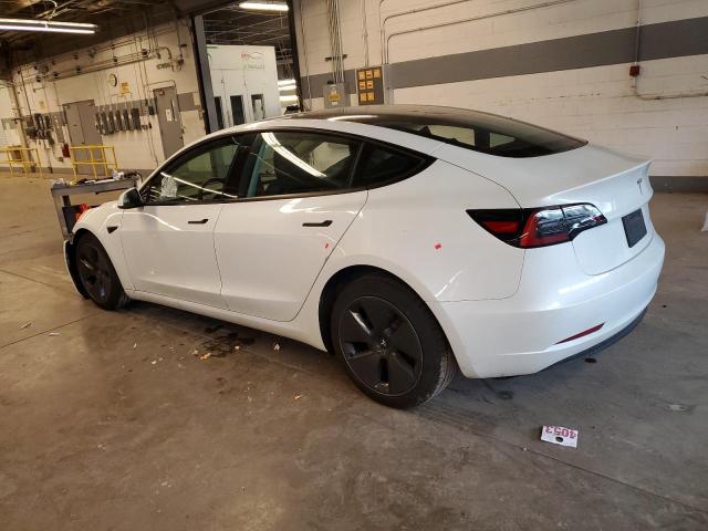 2023 Tesla Model 3 VIN: 5YJ3E1EB6PF594491 Lot: 50886664