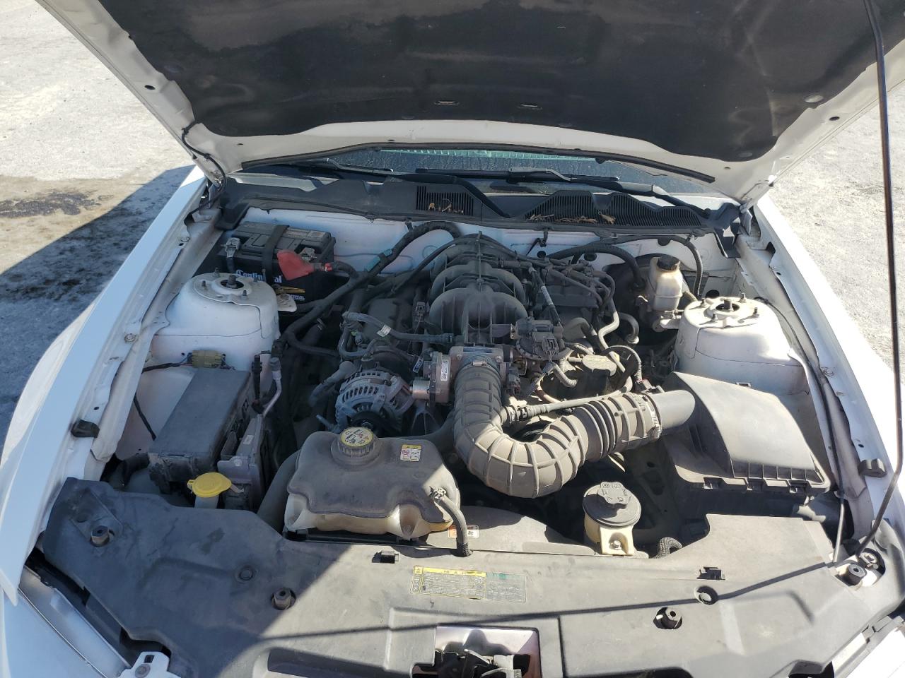 1ZVBP8AN9A5130910 2010 Ford Mustang