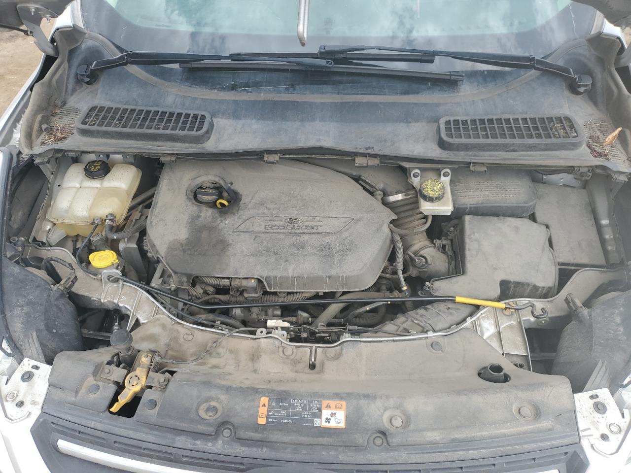 1FMCU0GX5EUD32970 2014 Ford Escape Se