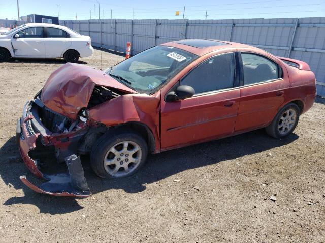 Lot #2478111666 2003 DODGE NEON SXT salvage car