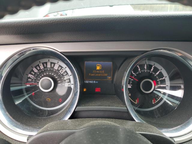 2013 Ford Mustang VIN: 1ZVBP8AM7D5251172 Lot: 48249174