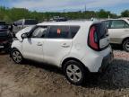 KIA SOUL photo