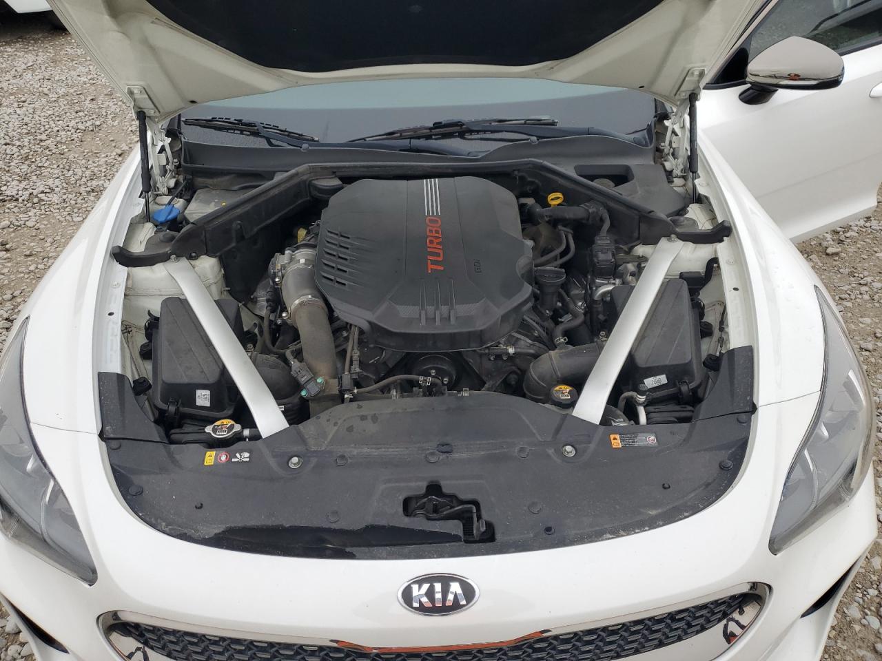 KNAE35LC6K6052813 2019 Kia Stinger Gt