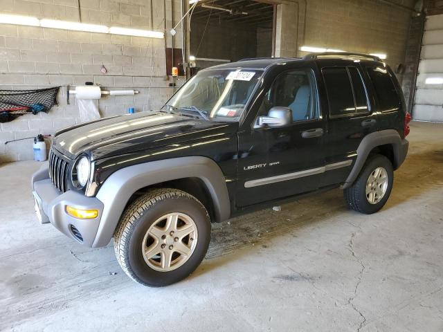 2002 Jeep Liberty Sport VIN: 1J4GL48K12W277043 Lot: 49207124