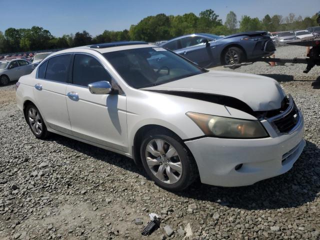 2008 Honda Accord Exl VIN: 1HGCP36828A041065 Lot: 52208354