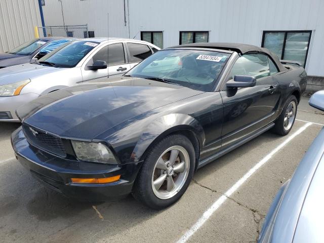 Lot #2505228568 2005 FORD MUSTANG salvage car
