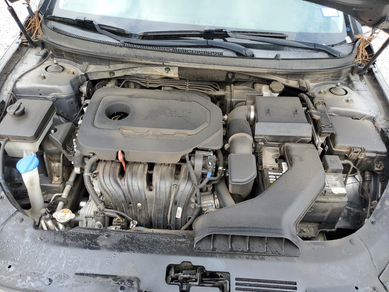 5NPE24AF8KH777364 2019 Hyundai Sonata Se