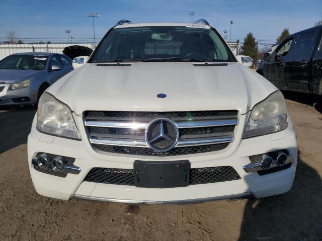 2010 Mercedes-Benz Gl 350 Bluetec VIN: 4JGBF2FB2AA531896 Lot: 51183494