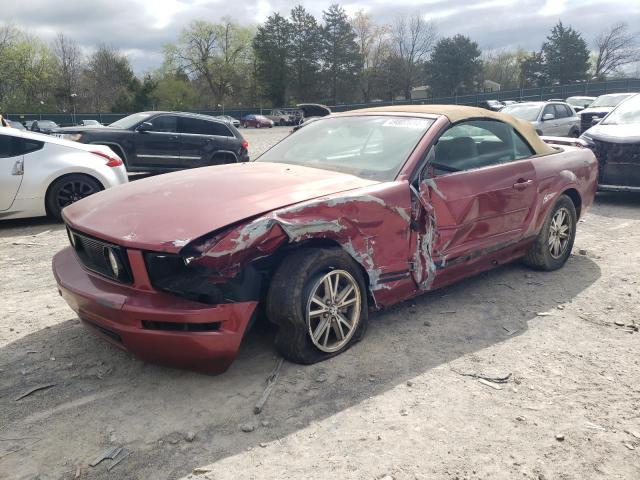 Lot #2461577341 2005 FORD MUSTANG salvage car