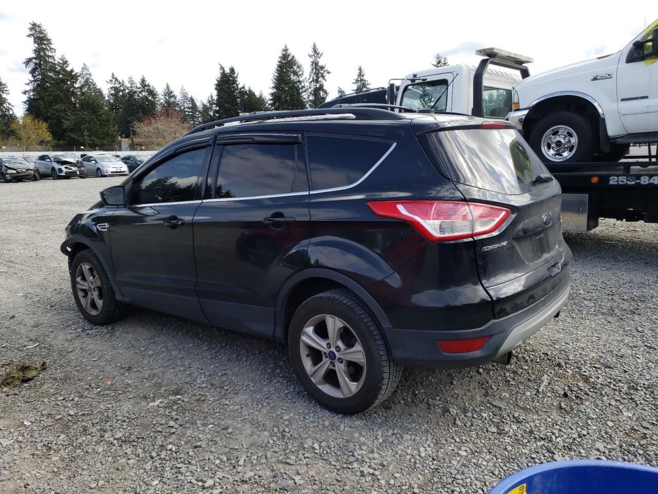 1FMCU9GX2DUA88925 2013 Ford Escape Se