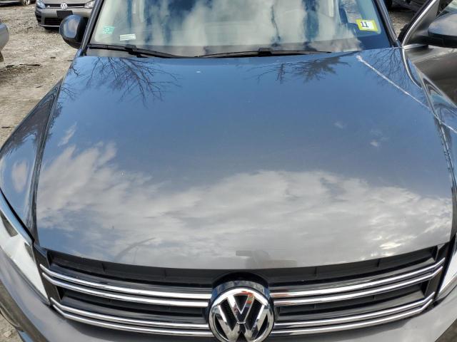 2014 Volkswagen Tiguan S VIN: WVGBV3AX4EW561549 Lot: 49125424