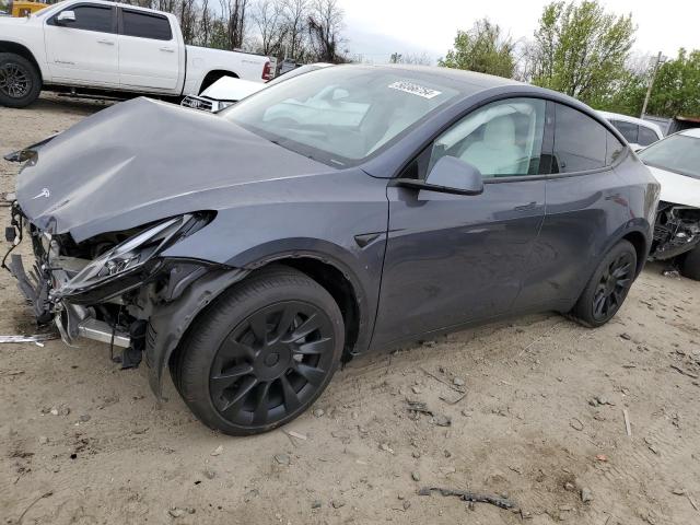  TESLA MODEL Y 2023 Серый