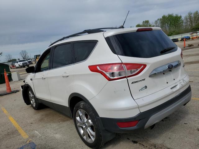 2013 Ford Escape Sel VIN: 1FMCU0HX7DUD50464 Lot: 51419324