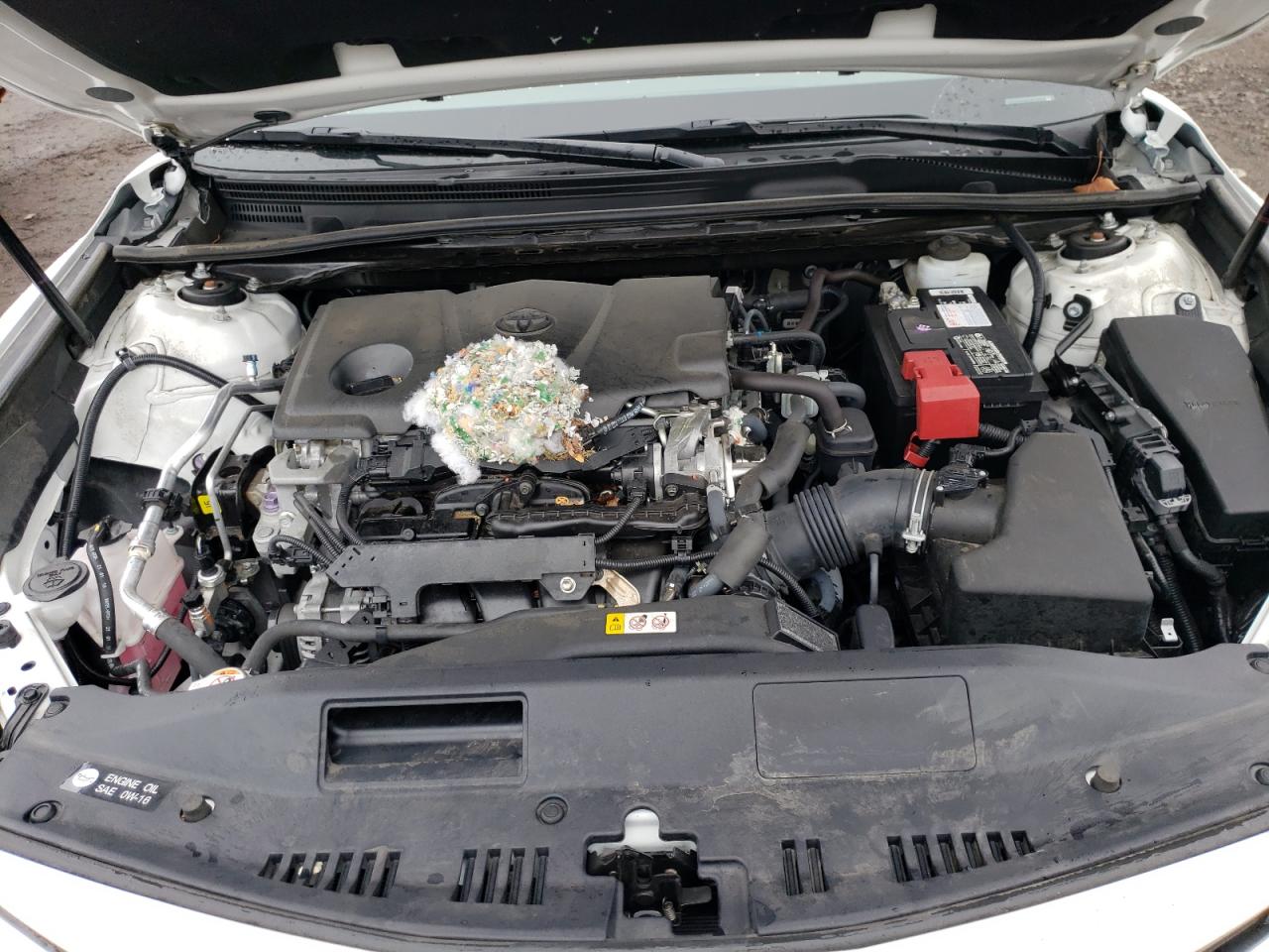 4T1B11HK3KU833445 2019 Toyota Camry L