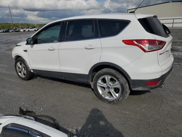 2014 Ford Escape Se VIN: 1FMCU0G93EUB05049 Lot: 50347924