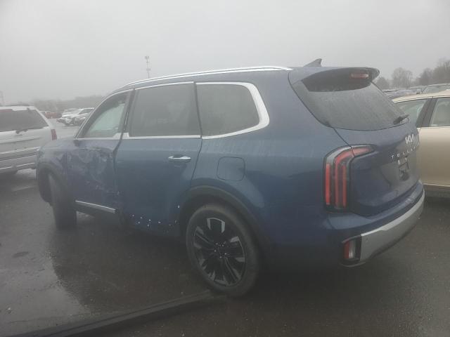2024 Kia Telluride Sx VIN: 5XYP5DGC4RG419757 Lot: 49294414