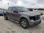 Lot #3027199279 2014 FORD F150 SUPER